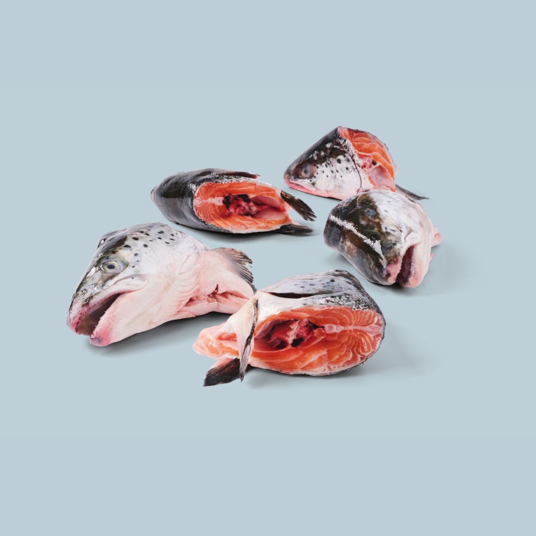 Salmon heads