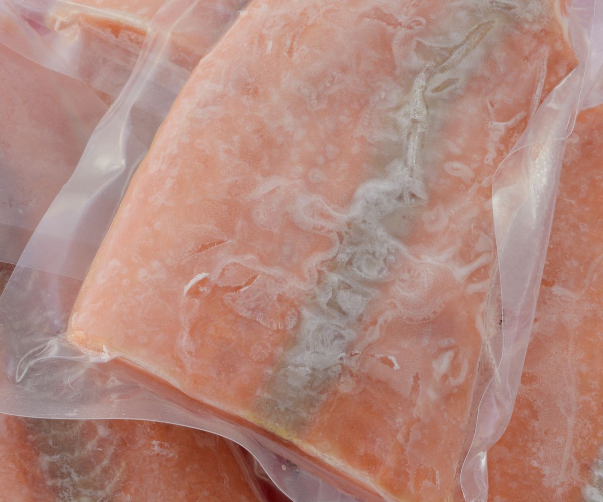 Fish bait plaatjes 1